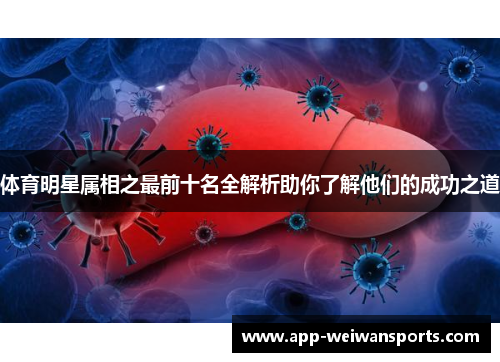 体育明星属相之最前十名全解析助你了解他们的成功之道