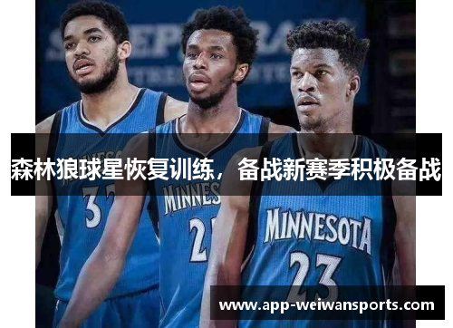 森林狼球星恢复训练，备战新赛季积极备战
